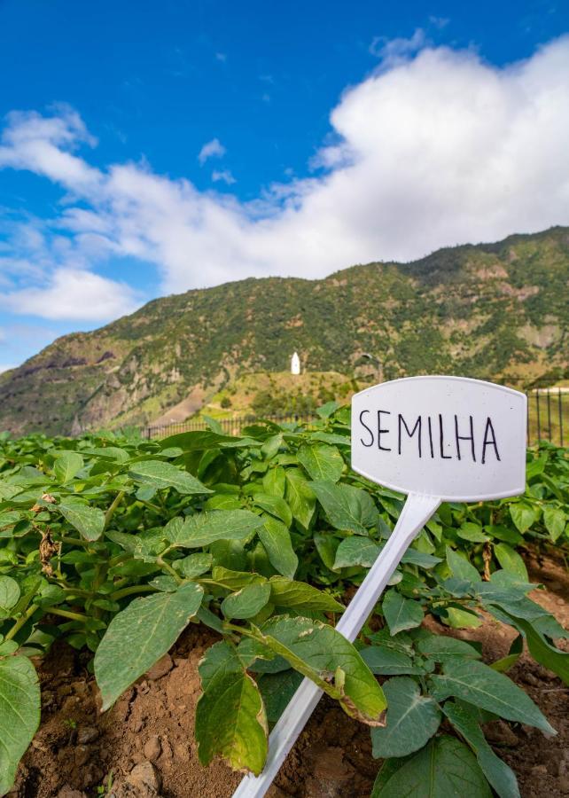 São VicenteQuinta Vale Vitis别墅 外观 照片