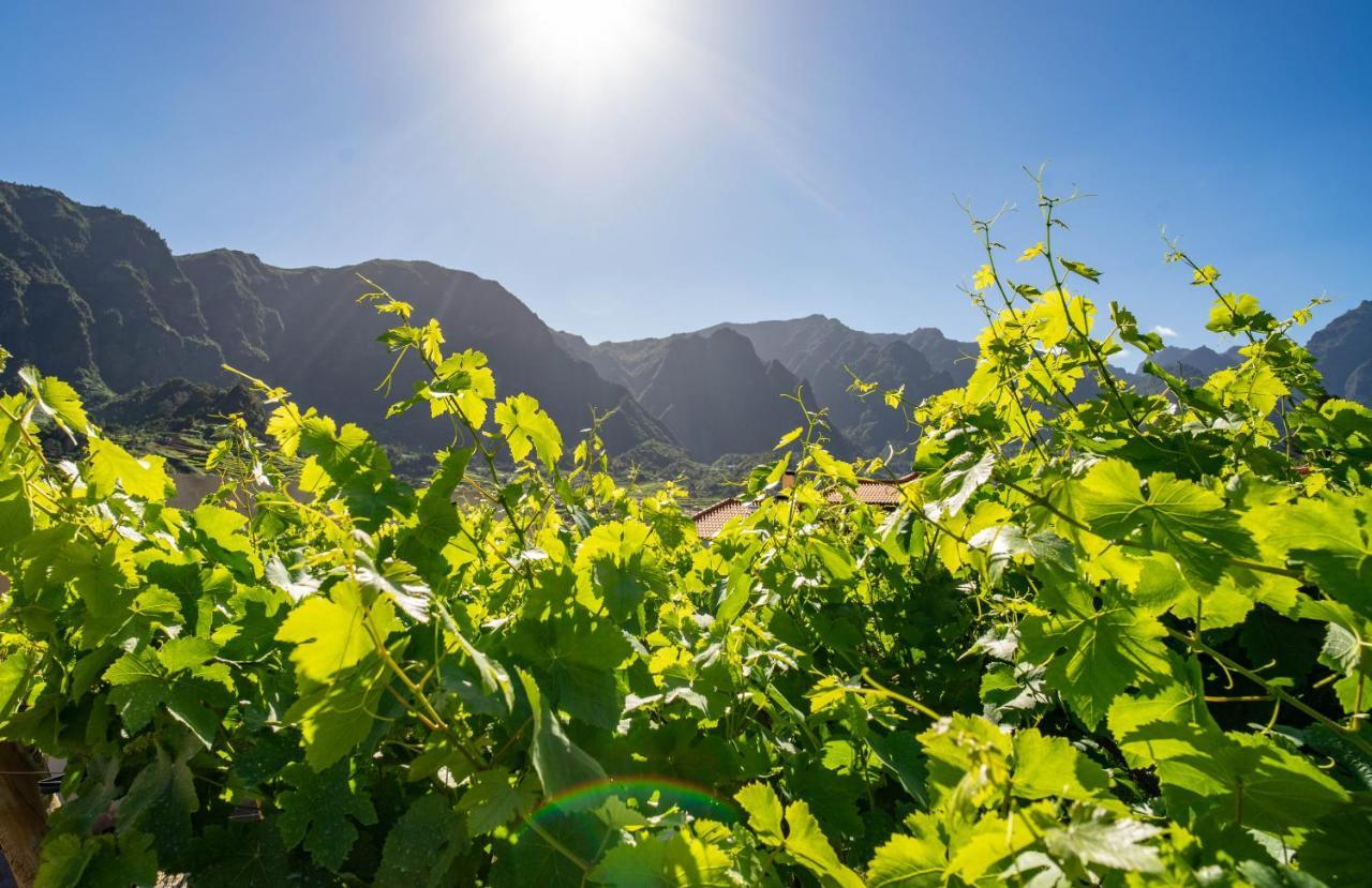 São VicenteQuinta Vale Vitis别墅 外观 照片