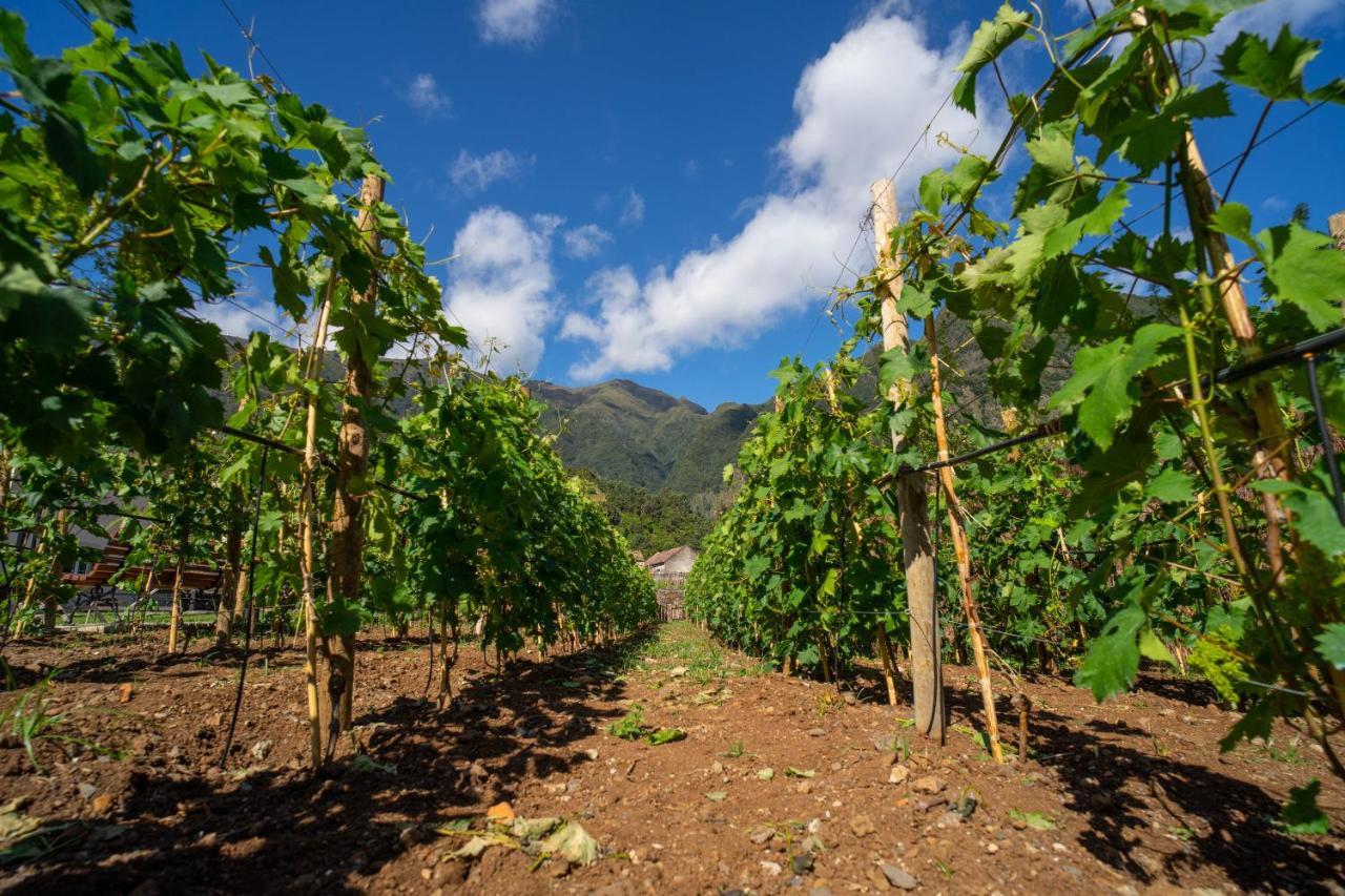 São VicenteQuinta Vale Vitis别墅 外观 照片